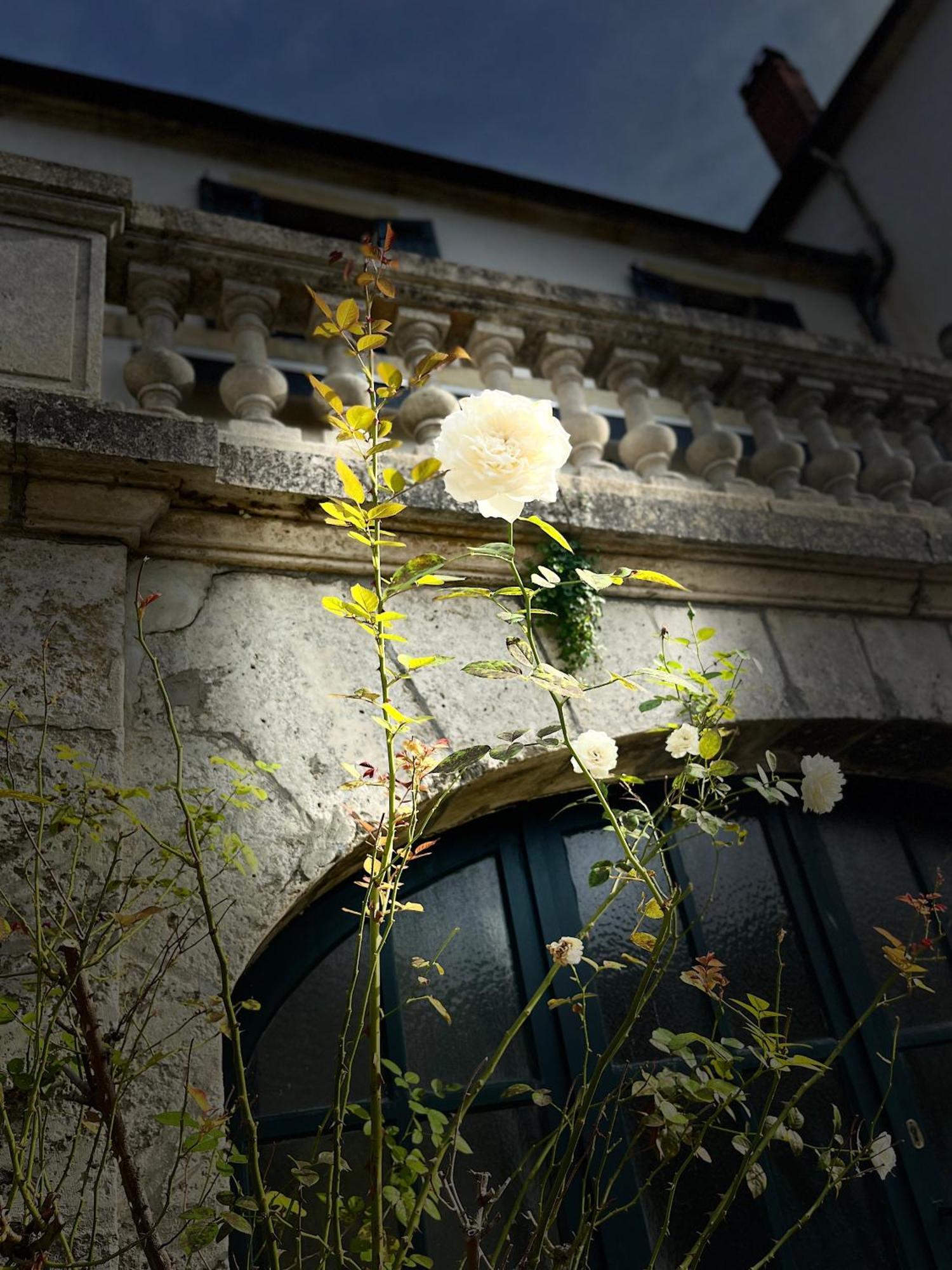 Richard Lequet Domaine Gastronomique Du Val D Atur Hotel Boulazac Isle Manoire ภายนอก รูปภาพ